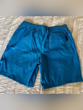 The North Face Men's Teal Blue Active Shorts